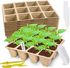 120 cells seed for sale  Saint Petersburg