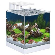 Ciano aquarium cube gebraucht kaufen  Hoyerswerda