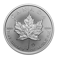 2025 silver canadian for sale  Pinehurst