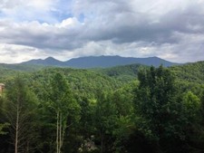 Gatlinburg smokey mountain for sale  Tifton