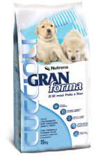 Gran forma cuccioli usato  Ciro Marina