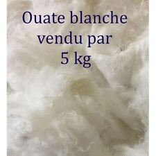 Ouate rembourrage 5kg d'occasion  Pontcharra-sur-Turdine