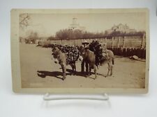 wood backdrop photo for sale  Huntingtown