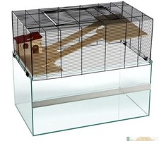 Falco small pet for sale  HALESOWEN
