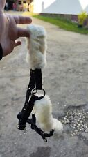 Fohlen der shetty gebraucht kaufen  Uhingen