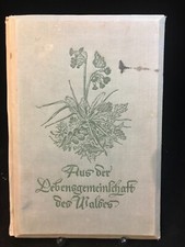 Altes raumbild album gebraucht kaufen  Taunusstein