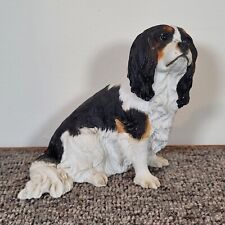 Bfa cavalier king for sale  PRINCES RISBOROUGH