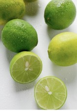Florida key lime for sale  Alapaha