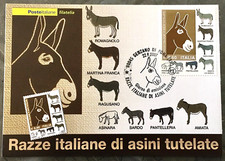 Italia 2007 cartolina usato  Aprilia