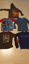 Langarmshirts sweater dinosaur gebraucht kaufen  Berlin