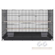 Uimoso inch bird for sale  LEICESTER