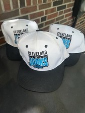 Vintage lot cleveland for sale  Maple Heights