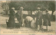 14.vire. vie champs. d'occasion  France