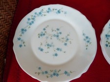Lot vaisselle arcopal d'occasion  Paris XIII