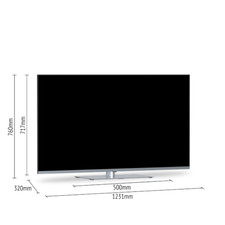 Ware panasonic 55w93ae8 gebraucht kaufen  Frankfurt (Oder)