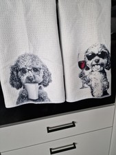 Cockapoo puppy dog for sale Cockapoo puppy dog for sale  ROCHESTER