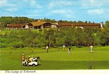 Cartão postal de golfe 1974 WI Cable Lodge at Telemark carrinho campo de golfe 4x6 C40 comprar usado  Enviando para Brazil