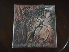 Sarcasm - Burial Dimensions comprar usado  Enviando para Brazil