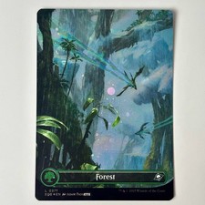 Forest 0371 mtg d'occasion  Toulouse-