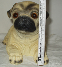 Mops welpe liegend gebraucht kaufen  Braunschweig
