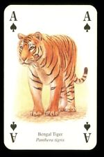 Playing card bengal for sale  EASTBOURNE