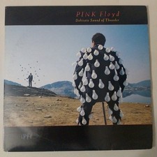 Pink floyd 2lp usato  Italia