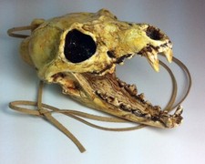 Fischietto della morte usato  Spedire a Italy