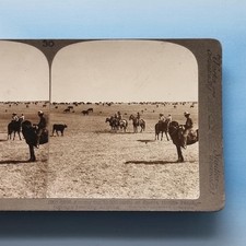 Sierra Bonita AZ Stereoview C1895 foto real América cowboys cavalos gado rancho comprar usado  Enviando para Brazil