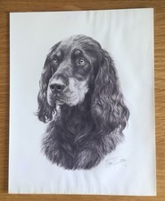 Vintage gordon setter for sale Vintage gordon setter for sale  SANDY