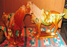 tang horse for sale tang horse for sale Olympia