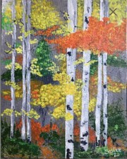 Fall aspens print for sale  Sierra Vista