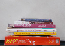 Dog puppies mixed for sale  Dacono
