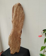 Large driftwood slab for sale  Brookings
