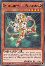 Satellchevalier procyon d'occasion  Rioz