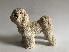 Castagna italy bichon for sale  UK