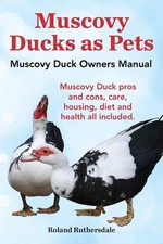 Muscovy ducks pets. for sale  Lynden