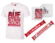 Köln aufstieg 2025 gebraucht kaufen  Freiberg