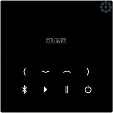 Jung btcls dispsw gebraucht kaufen  Zell am Harmersbach