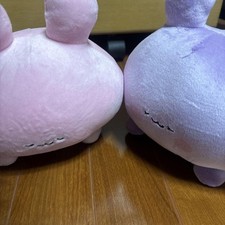 Usado, Conjunto de travesseiros Asamimi-chan & Anemimi-chan braço de pelúcia 25cm bunda NOVO 2024 comprar usado Usado, Conjunto de travesseiros Asamimi-chan & Anemimi-chan braço de pelúcia 25cm bunda NOVO 2024 comprar usado  Enviando para Brazil