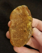 Bernstein amber gramm gebraucht kaufen Bernstein amber gramm gebraucht kaufen  Tübingen