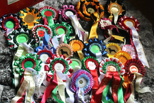 Rosettes dogs show for sale  SOLIHULL