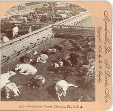 Illinois union stock for sale  Sarasota