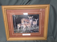 Spring secrets deer for sale  Babbitt