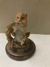 Harvest mouse eating for sale  SHANKLIN