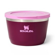 Stanley food storage for sale  USA