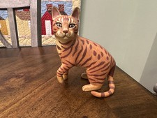 Gatto tyber enesco usato  Spedire a Italy