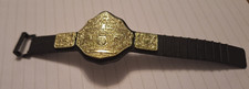 Heavyweight championship big for sale  LIVERPOOL