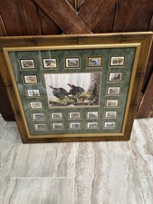 National wild turkey for sale  Hamilton