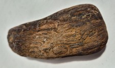 fossil wood for sale fossil wood for sale NORWICH