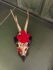 Hirsch geweih deko gebraucht kaufen Hirsch geweih deko gebraucht kaufen  Gundelfingen